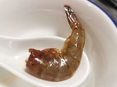 -金砂阿洲鱼册店