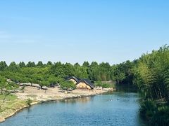 -乌村