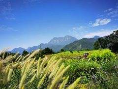 -峨眉山风景名胜区