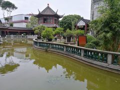 -碧江金楼