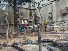 -大连森林动物园