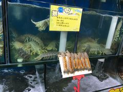 -蚝专家(北滘店)