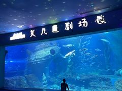 -多彩贵州城极地海洋世界