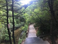 -王顺山国家森林公园