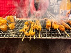 -生火火·小炉子炭烤(金楠天街总店)