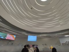 -喜茶(迪士尼小镇DP店)