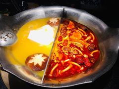 台式麻辣花胶鸡鸳鸯锅-湊湊火锅·茶憩(世博大道店)