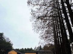 -五祖寺