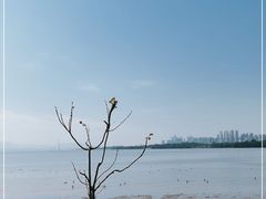 -深圳湾公园(南山区)