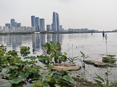 -金鸡湖景区