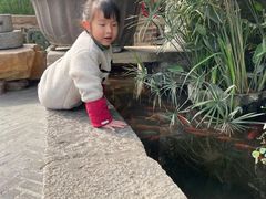 -大水车公馆·顺德菜·妈姐菜(均安店)