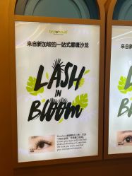 -Browhaus眉睫沙龙
