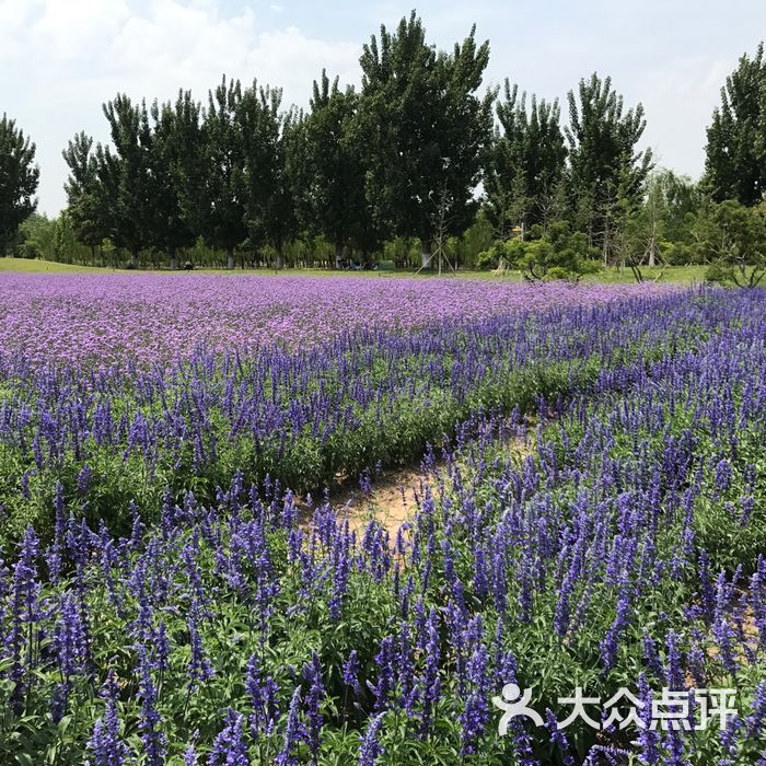 首农·紫谷伊甸园