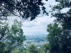 -火炉山森林公园