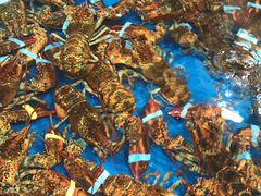 -盒马鲜生(红莲店)