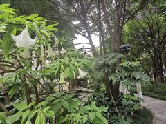 -成都市活水公园