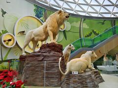 -陕西自然博物馆