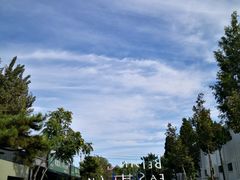 -小意思咖啡店(草桥店)
