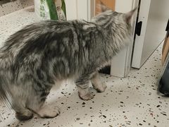 -瑞派康怡24h宠物医院·犬猫医疗中心·微创绝育(瑞景分院)