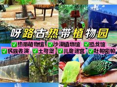 -呀路古热带植物园