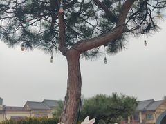 -诗经里