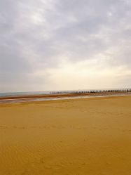 -万达宝贝王(青岛路万达广场店)