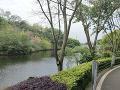 -重庆园博园