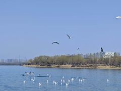 -丁香湖公园