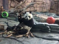 -泉州海丝野生动物世界