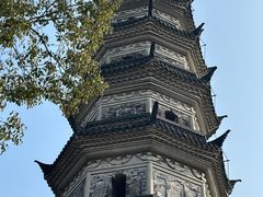 -苏州上方山国家森林公园