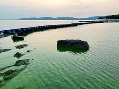 -上海市保健医疗中心