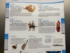 -四川大学博物馆