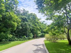 -中国科学院西双版纳热带植物园