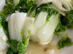 -古萧汪家羊肉馆(淮北四马路店)