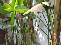 -云里小坐·小院里·团建·宴请·下午茶(三圣乡店)