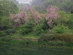 -南溪山景区