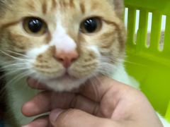 -伟伟宠物医院·CT影像中心·瑞派犬猫综合性门诊(汉口总院)