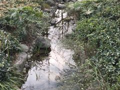 -青城山六善酒店·紫氣園中餐厅