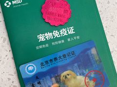 -北京观赏动物医院·24小时大型综合·猫专科·异宠专科