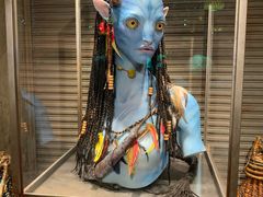 阿凡达-奥兰多迪士尼动物王国乐园