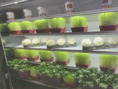-番食园鲜食火锅(高新店)