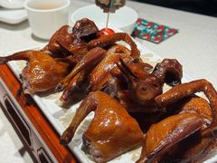 -大鸽饭(动物园店)