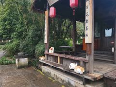-八卦田遗址公园
