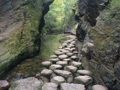 -牛背梁国家森林公园