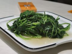 清炒鸡毛菜-19号私房菜(云南路店)