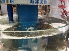 -东辰望海鱼码头·海鲜餐厅