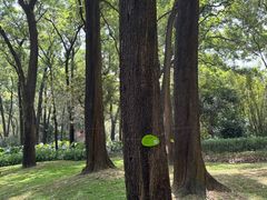 -云溪植物园