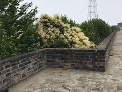 -襄阳城墙