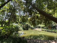 -成都市活水公园