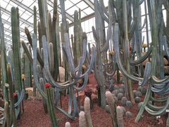 -南通洲际绿博园